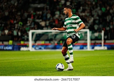 庆祝这个手游迈向十年！《魔域口袋版》十周年！